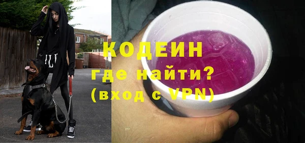 гидра Арсеньев