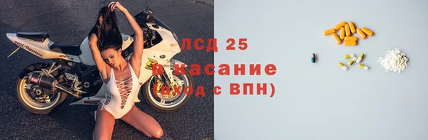 гидра Арсеньев