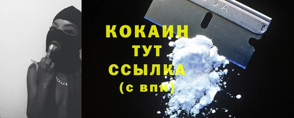 стафф Армянск