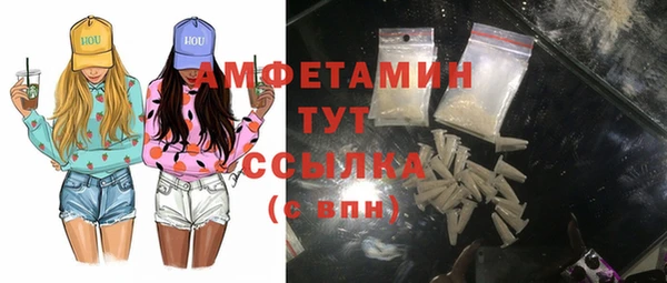 ECSTASY Пересвет