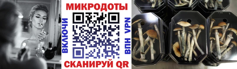 Галлюциногенные грибы Cubensis  кракен зеркало  Арск 